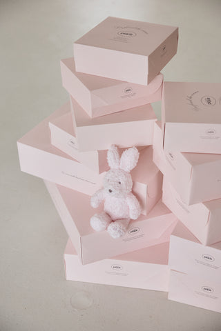 Fluffy Rabbit Plush Toy surrounded by pink anniversary boxes, showcasing "Gelato" comfort and 10th-anniversary embroidery.