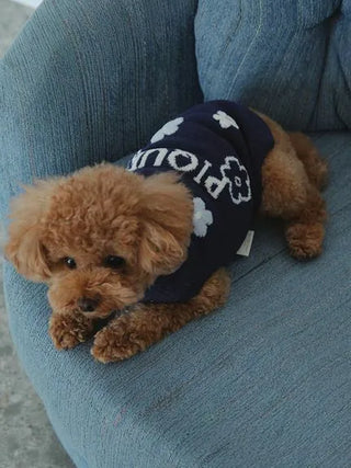 Brown dog wearing CAT&DOG flower logo jacquard pullover, lying on a blue couch.