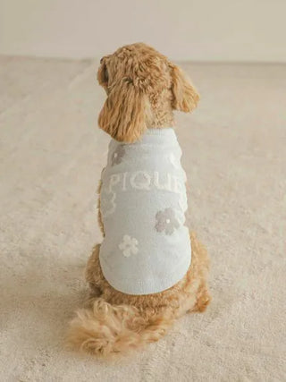 Small dog wearing CAT&DOG Flower Logo Jacquard Pullover, showing back view with floral pattern design.