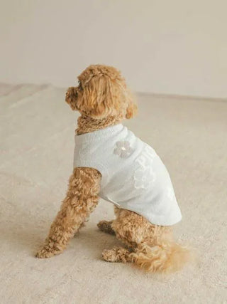 Small dog wearing a CAT&DOG Flower Logo Jacquard Pullover in white, showcasing floral design. Ideal for pet fashion enthusiasts.