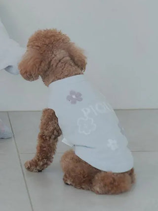Poodle wearing a CAT&DOG Flower Logo Jacquard Pullover in light blue, showcasing floral patterns on a tiled floor.