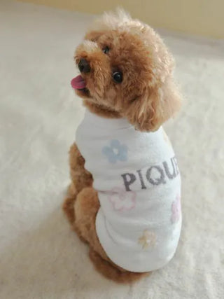 Small dog wearing a white CAT&DOG Flower Logo Jacquard Pullover with floral design and "PIQU" text.
