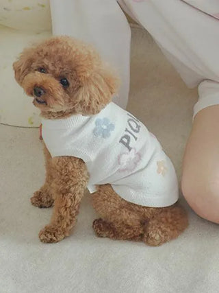 Small dog wearing a white flower logo pullover sitting on a carpet next to a person.