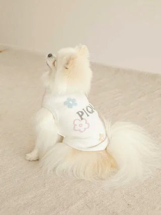 Small dog wearing CAT&DOG Flower Logo Jacquard Pullover, showcasing stylish pet apparel with playful floral design.