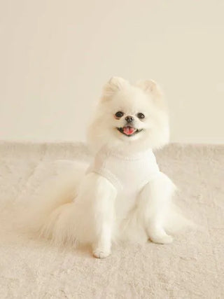 Fluffy white dog wearing a cozy white pullover, sitting on a soft carpet.