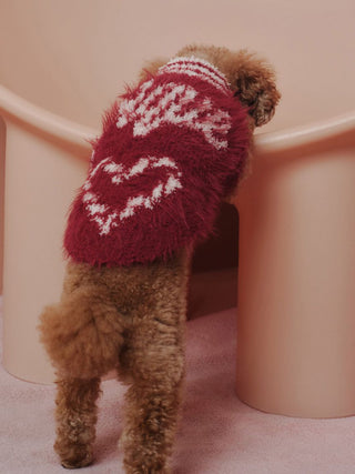Dog wearing a CAT&DOG Feather Pullover with heart pattern, part of the Sending Warm Wishes holiday collection.