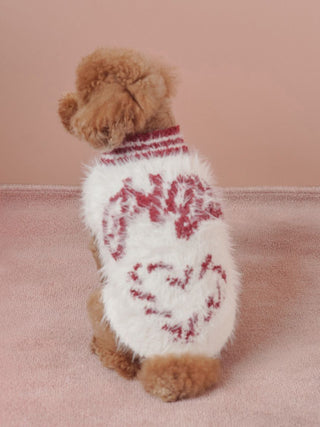 Dog wearing CAT&DOG feather pullover with candy cane heart design, holiday collection.