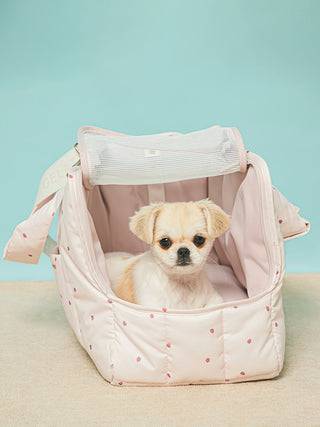 CAT&DOG Sales Channel Limited Product Motif Pattern Mini Size Carry Bag- Pet's Premium Accessories At Gelato Pique USA