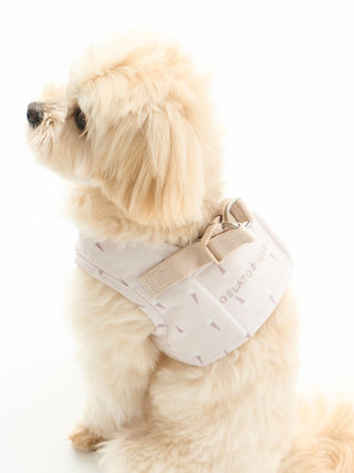 Fluffy dog wearing a CAT&DOG Strawberry & Ice Cream motif pet harness, showcasing a stylish, durable design for fashionable pet walks.