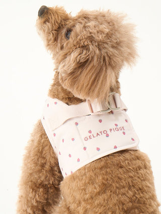 Small dog wearing strawberry ice cream motif pet harness, side view.