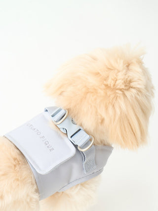 Fluffy dog wearing a stylish and durable grey CAT&DOG pet harness for comfortable walks.