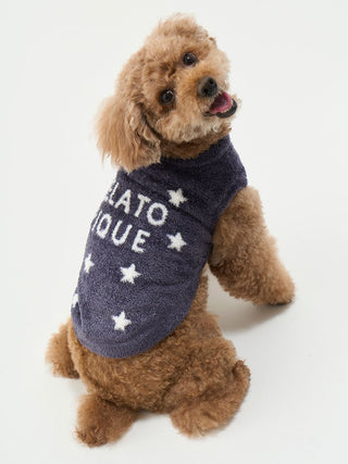 Fluffy dog wearing CAT&DOG Smoothie Star Jacquard pet clothes, featuring a blue star design on a soft fabric.