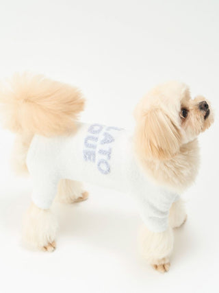 Small dog wearing a CAT&DOG Smoothie Jacquard Dog Romper in white, showcasing comfort and style with premium materials.