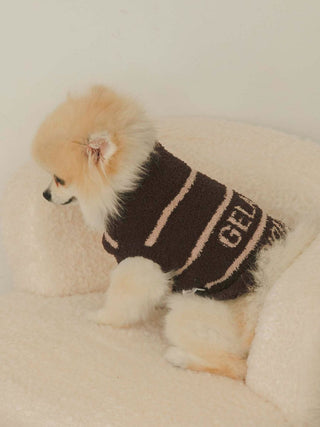 Pomeranian wearing Baby Moco high neck striped pet clothes on a cozy chair, showcasing elegant and warm pet fashion.