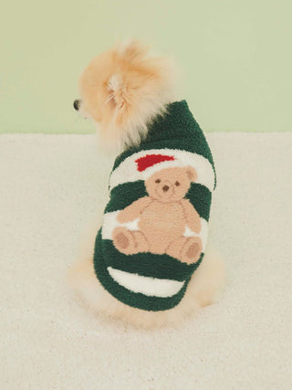 Pomeranian wearing a festive Christmas bear high neck pet sweater with hat pattern in green and white.