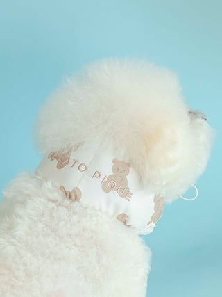 Fluffy dog wearing beige and white CAT&DOG COOL Pet Neck Cover with cute teddy bear design.