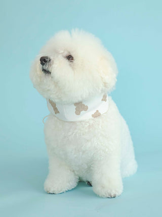 Fluffy white dog wearing CAT&DOG COOL Pet Neck Cover with beige bone pattern on blue background.