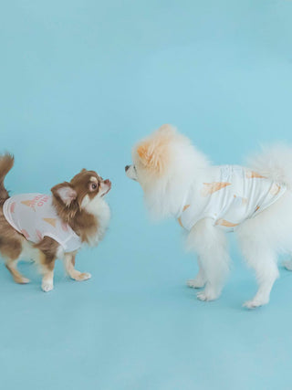 Small dogs wearing Ice Pattern pet clothes by CAT&DOG, showcasing stylish and cool summer outfits with ice cream cone prints.