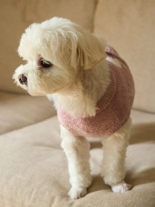 Small dog wearing pink CAT&DOG Cupcake Sleeveless Pet Clothes on a couch.
