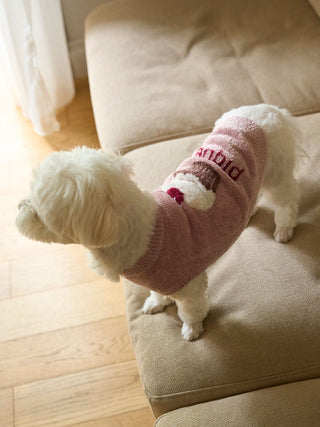 Small dog in CAT&DOG Cupcake Sleeveless Pet Clothes, pink sweater with cupcake design, standing on a beige couch.