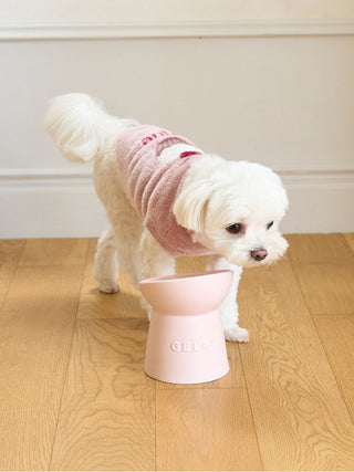 Small white dog wearing a CAT&DOG Cupcake Sleeveless pet cloth near a pink bowl on wooden floor.