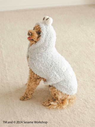 Dog wearing a fluffy Cookie Monster cape from Sesame Street, suitable for pets, on a light carpeted floor.