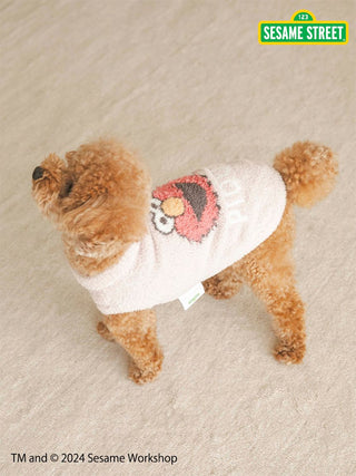 Small dog wearing a Sesame Street Elmo jacquard pullover on a beige carpet