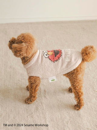 Dog wearing Elmo Jacquard Pullover from Sesame Street collection, showcasing cute pet apparel on a beige carpet.