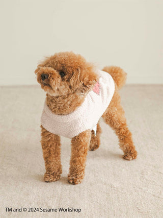 Cute dog wearing Sesame Street Elmo Jacquard Pullover in a cozy beige setting.