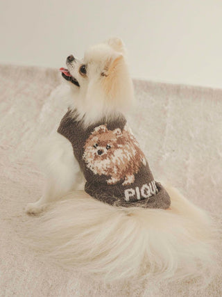 Pomeranian wearing CAT&DOG Baby Moco pet clothes with cute design on a light textured blanket.