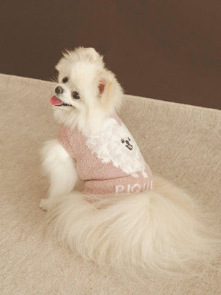 White Pomeranian wearing CAT&DOG Baby Moco pet clothes with a cute design, sitting on a beige carpet.