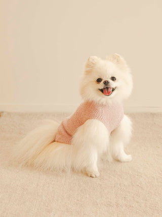 Pomeranian wearing a pink sweater from CAT&DOG Baby Moco collection, sitting on a cream rug.