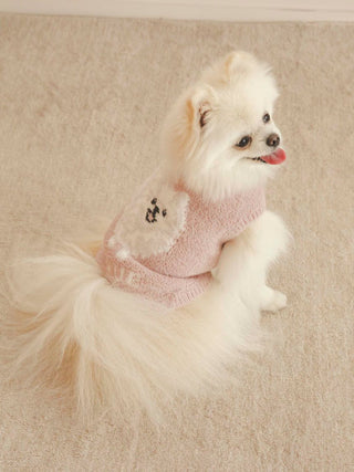 Fluffy Pomeranian wearing a pink CAT&DOG Baby Moco pet sweater.