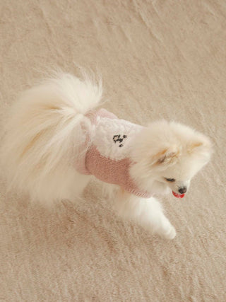 Fluffy Pomeranian wearing CAT&DOG Baby Moco pet clothes in pink, walking indoors on carpet.