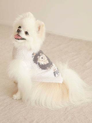 Cute Pomeranian wearing CAT&DOG Baby Moco pet clothes, showcasing stylish and comfortable design for dogs.