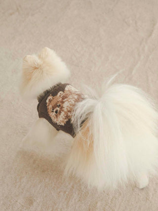 Fluffy Pomeranian in CAT&DOG Baby Moco pet clothes featuring a cute bear design on a soft, neutral background.