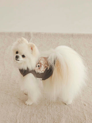 Pomeranian wearing CAT&DOG Baby Moco pet clothes, beige fluffy coat, standing indoors.