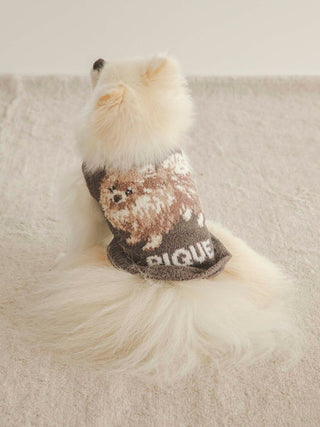 Pomeranian wearing CAT&DOG Baby Moco pet clothes shown from the back, on a soft rug, emphasizing cute and cozy design.