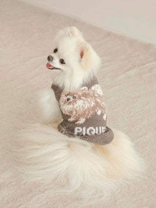 Pomeranian wearing CAT&DOG Baby Moco pet clothes, featuring a cozy design suitable for small dogs. Perfect for pet fashion lovers.