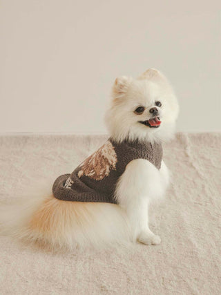 Fluffy Pomeranian wearing a cozy brown pet sweater, CAT&DOG Baby Moco Pomeranian pet clothes, on a light beige background.