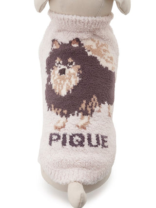 Pomeranian design pet clothes by CAT&DOG, featuring soft fabric and PIQUE text. Perfect for small dog breeds like Pomeranians.