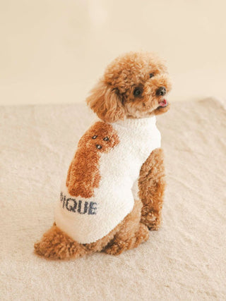 Toy Poodle wearing stylish "CAT&DOG" pet clothes sweater with cute design, perfect for your furry friend's wardrobe.