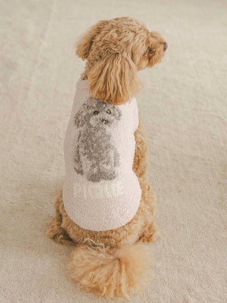 Toy Poodle wearing CAT&DOG pet clothes with a poodle print, soft beige fabric, sitting on light carpet.