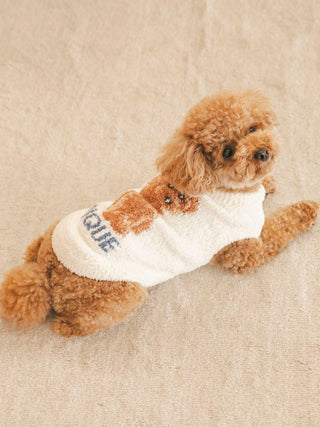 Toy Poodle wearing CAT&DOG pet clothes, showcasing a cozy and stylish sweater.