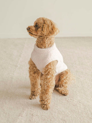Toy Poodle wearing CAT&DOG white pet clothes, sitting on a beige carpet, showcasing cozy and stylish pet fashion.