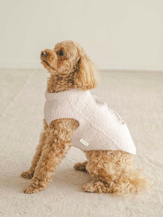 Poodle wearing CAT&DOG cozy pet clothes, showcasing soft fabric and comfortable fit.