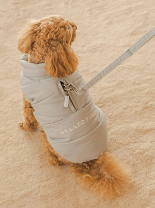 Dog wearing a padded puffer vest with leash, featuring Gelato Pique branding, suitable for cats and dogs, perfect for colder weather.
