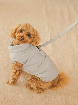Small dog wearing a grey CAT & DOG padded puffer vest, looking over shoulder.