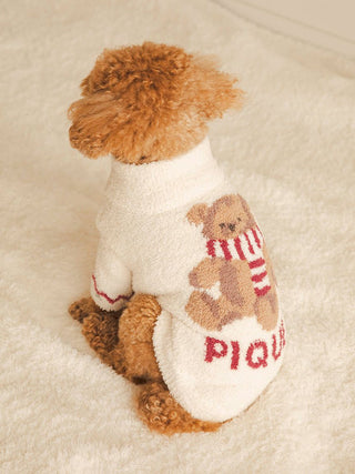 Small dog in a cozy Nordic pet sweater with a teddy bear design, showcasing CAT&DOG winter clothing collection.