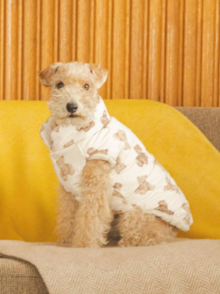 Dog wearing CAT&DOG large quilted pet jacket with teddy bear print sitting on a sofa.